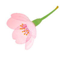 2026平谷桃花节赏花导览图贴心上线，助您一图畅游