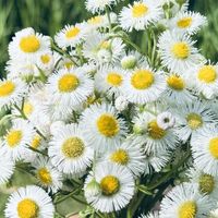 骑行风夹克通勤实测：好看难用