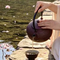 一把紫砂壶泡错茶，三个月就废：你的茶正在毁掉你的壶