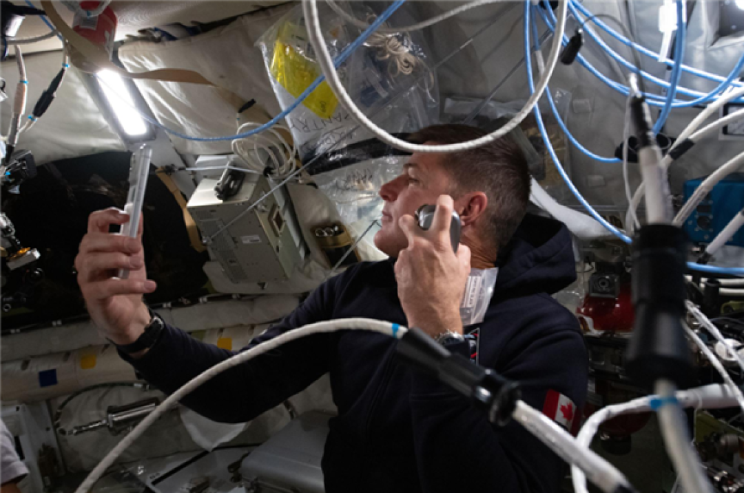 苹果CEO库克祝贺阿尔忒弥斯2号任务成功!将iPhone摄影带到全新高度