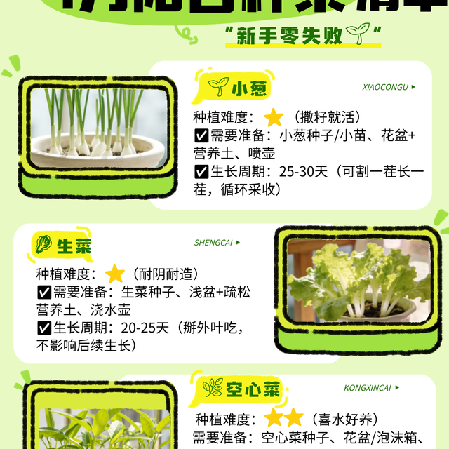 4 月阳台种菜清单✅新手闭眼入的 6 个品种
