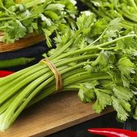 芹菜钙含量比牛奶高？盘点芹菜的5大营养功效