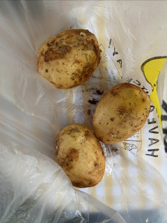 信阳FIRE生活｜今日买菜价格