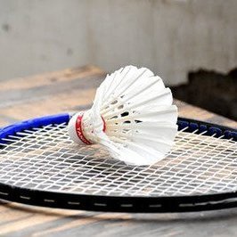 羽你同行，不负热爱——羽毛球运动全指南