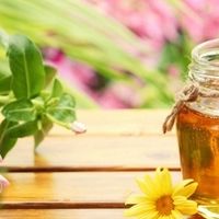 2026蜂蜜避坑指南！认准秦岭深山蜜源，原料纯净吃的更放心