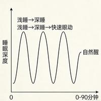 改善睡眠的三个科学原则：打破越努力越睡不着的误区