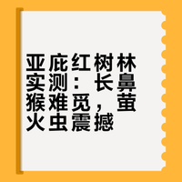 亚庇红树林真挺坑的，但我还是强烈推荐要去