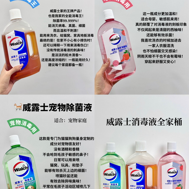 威露士消毒液实测！全屋除菌夯爆了！