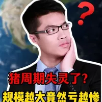 猪周期失灵与规模养殖的亏损怪圈