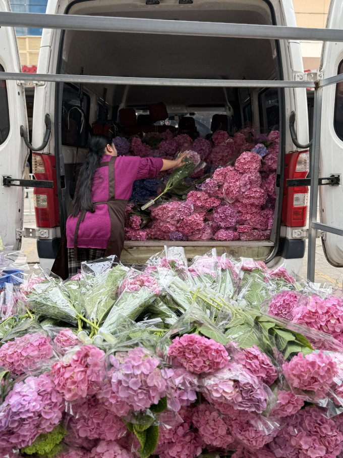 鲜花