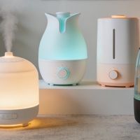 别再搜了！加湿器哪个牌子好？看这份品牌十大排名足够