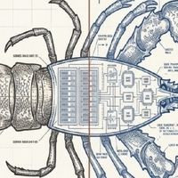 马上卸载你的龙虾