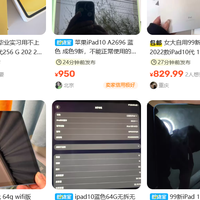 iPad10咸鱼上几百块钱，有点吓人感觉不能碰。