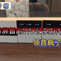 带屏开关和无屏款哪个性价比高？领普超薄智能屏显开关E5