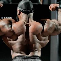 212王者科恩的背部训练，高质量！