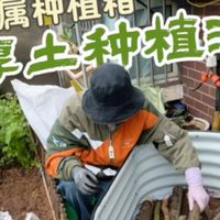 金属种植箱就是我们养花种菜人心目中理想的种植床吧