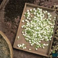 茶知识｜茉莉花避坑指南：3分钟学会挑好茶，拒绝“香精水”！