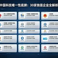 中国科技产业链核心企业盘点：30家“唯一性”企业技术壁垒与市场地位