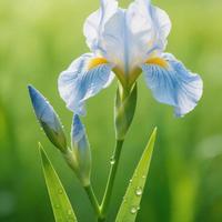 萨克斯从零到一：从组装保养到即兴演奏的系统攻略