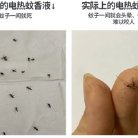 为什么你家电热蚊香液没用？5个错误用法快自查！