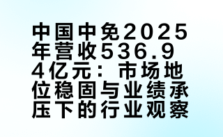 中国中免 2025 年收入 536.94 亿元，同比减少约 4.92%，有哪些信息值得关注？