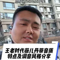 王者时代薇儿丹蒂：兼具厚度与细腻的“女毒”调音解析