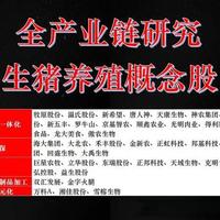 2026年一季度生猪市场复盘与下半年趋势预判