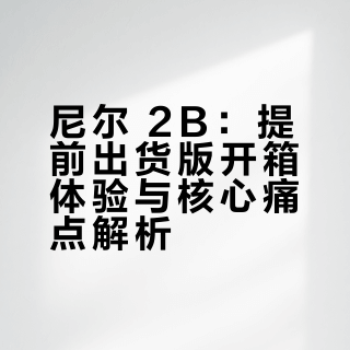 核金重构 尼尔 2B