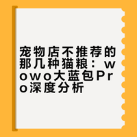 宠物店不太会推荐那几种猫粮，wowo 是一个