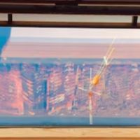 采耳店空气净化器怎么选？高口碑采耳店空气净化器推荐