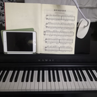 新手电钢琴哪个品牌值得买？2026年10款好用又高性价比电钢琴推荐