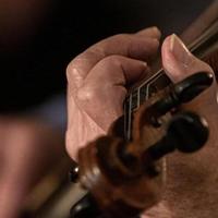 告别选择困难！新手小提琴选购终极指南（附5款真人实测评测）