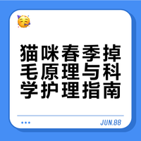 春天猫掉毛真相!科学养护不焦虑✨