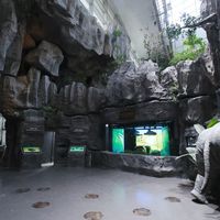 后悔没早看!免费科技馆遛娃保姆级攻略:适龄匹配+预约避坑+高效动线全公开
