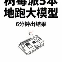 树莓派5本地跑大模型 6分钟出结果