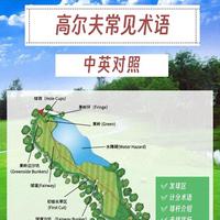 高尔夫入门指南：从术语到实战的全景解析