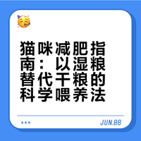 小猫减肥其实很简单的！千万别饿它们（容易脂肪肝）只需要把干粮全部换成湿粮旺仔原本每天吃100g差不多的猫粮开始减肥之后慢慢给他换成每天100g猫罐头（不要一下子直接换粮哈 过渡几天 不然容易拉肚子）可以在罐头里适当加点水 水喝饱了也饿的比较慢一天分3-4次定时喂原理其实也很简单！猫粮的成分是淀粉比较多 罐头的话基本都是蛋白质 和人一样 少吃碳水 多吃蛋白质 自然而然就瘦了