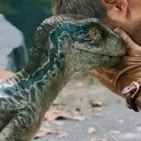 谁懂啊，看三次还是被吓到！一口气重刷侏罗纪5部经典！