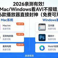 AVI格式播放指南:2026年6款主流播放器实测与对比