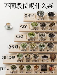 职场段位和喝茶鄙视链？原来不同职位爱喝的茶差别这么大🍵