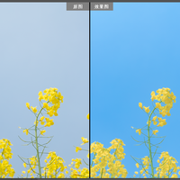 🍃 春日透光感秘籍｜Camera Raw调整思路