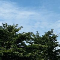 健康精简之路——饮食调整篇