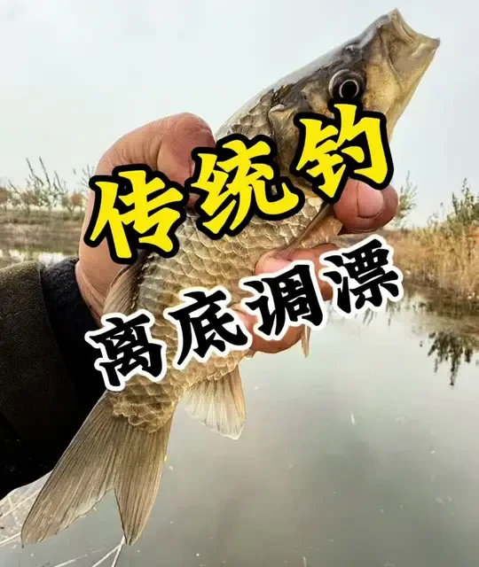 传统钓七星漂全水层逗钓：线组调漂与离底钓法详解