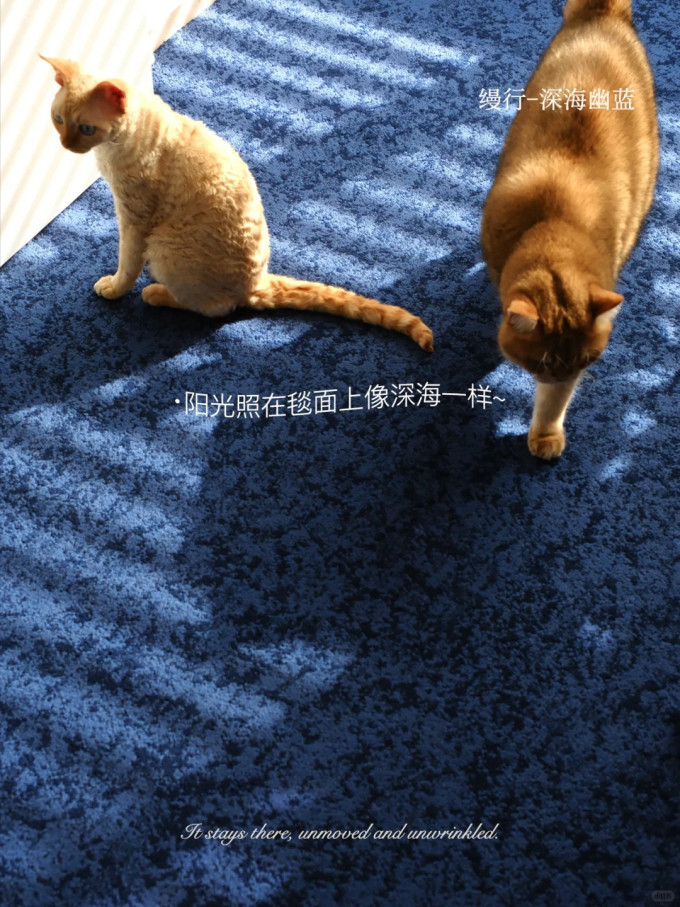 布艺毯类