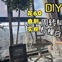只要60自制柠檬树周转箱,实现柠檬自由