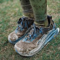 Altra 是不是宽脚神鞋？有人吹爆有人骂，选购攻略一次说清