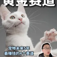 宠物行业未来5年四大黄金赛道分析