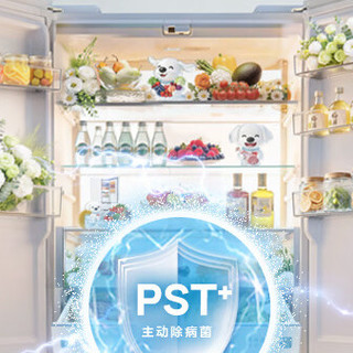 买什么牌子的冰箱好?实测3大热门冰箱,认准双循环不串味!