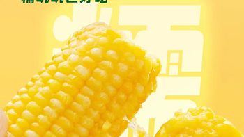 🌽十月稻田黄糯玉米｜25 年头茬新货！糯到拉丝的东北甜糯🌽