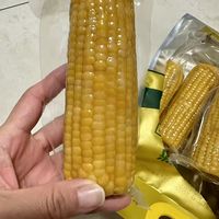 十月稻田黄糯玉米｜25 年新货！东北黑土糯香，一口沦陷✨